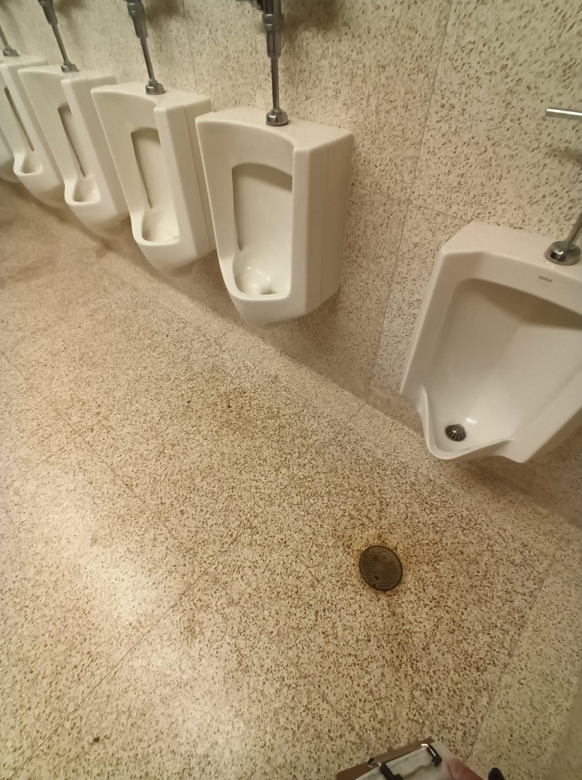 A row of urinals in a public restroom