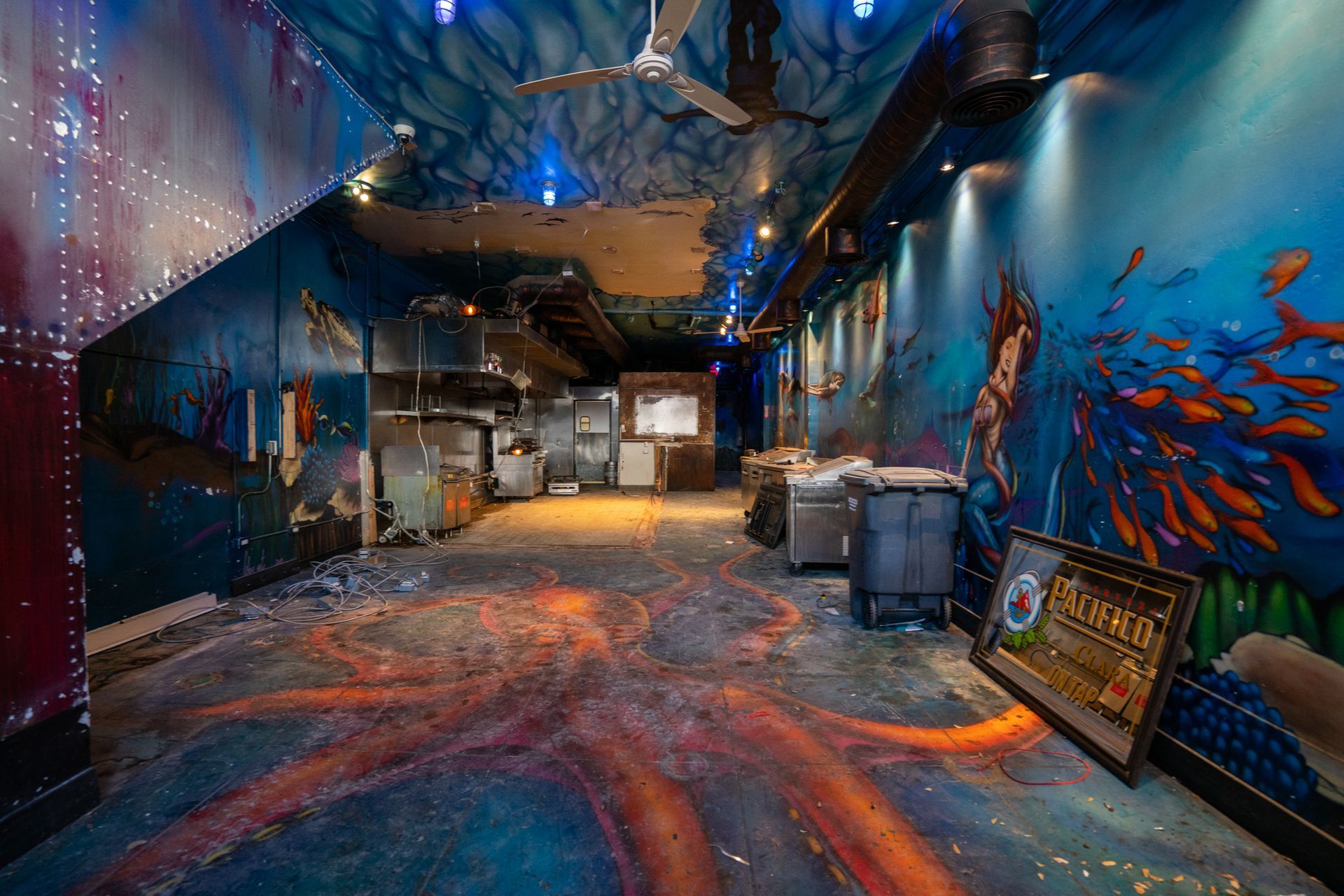 An empty room with a painting of an octopus on the floor