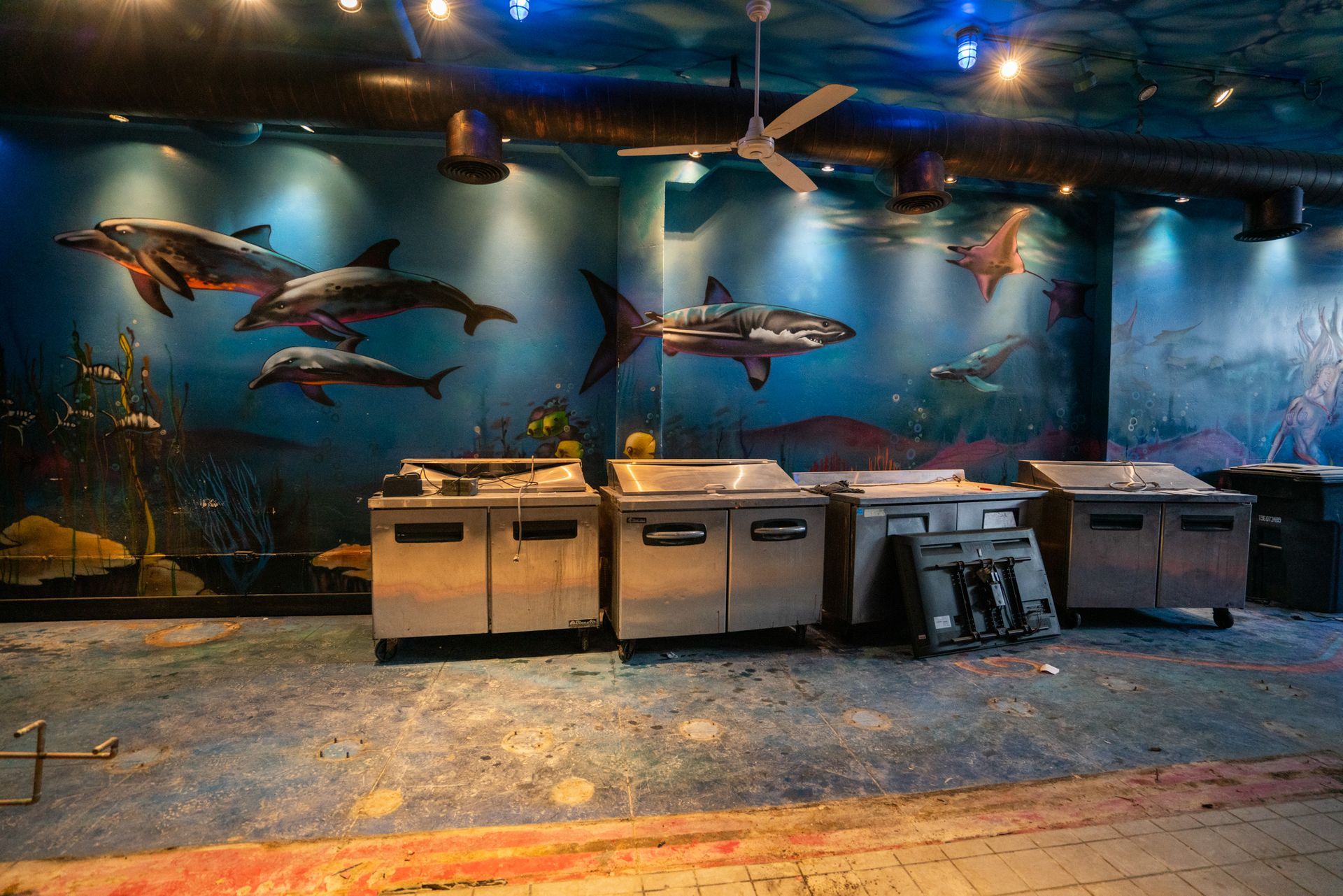 A room with a mural of dolphins and sharks on the wall
