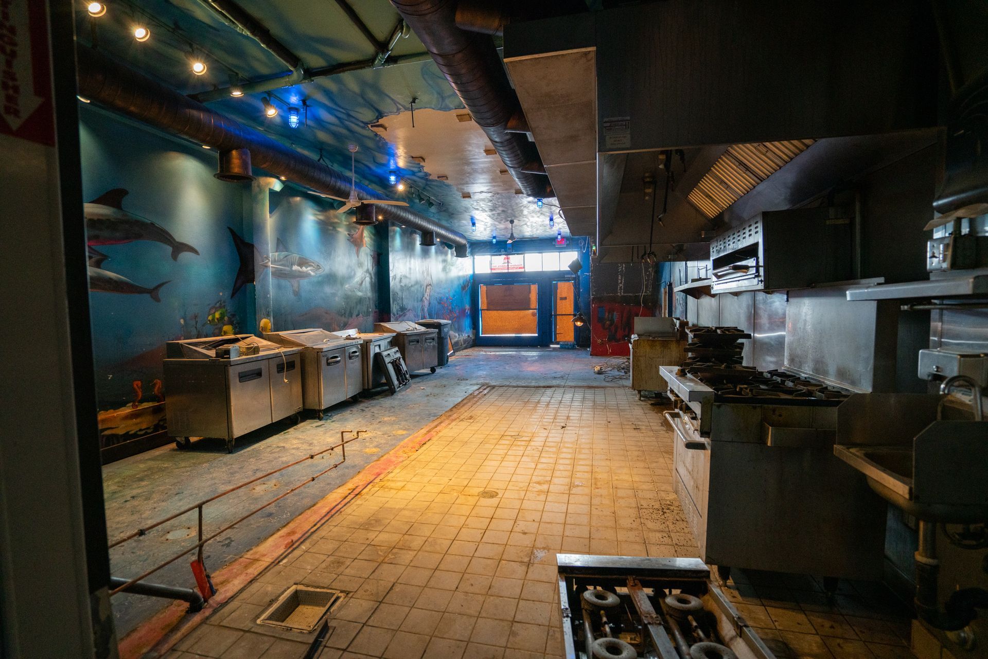 An empty kitchen with a dolphin painting on the wall