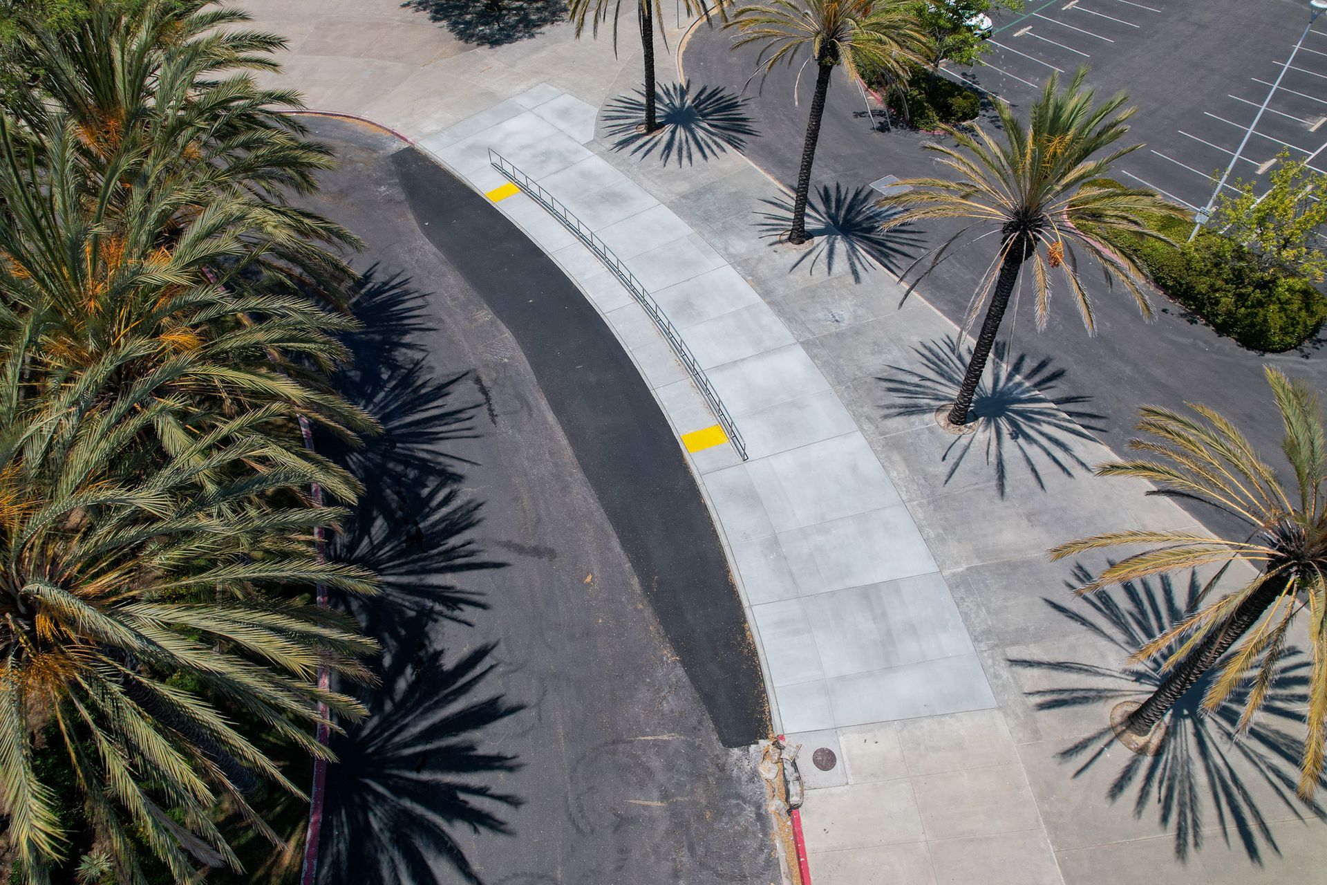 Curved sidewalk beside a parking lot, lined with palm trees and yellow curb markers.