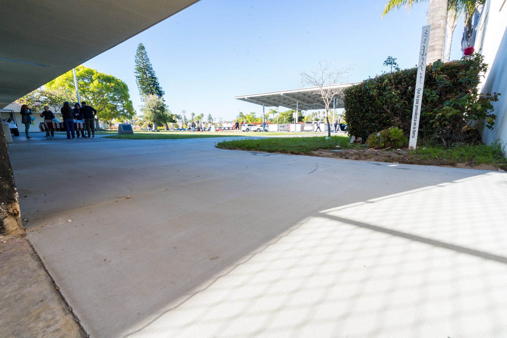 A group of people are walking down a sidewalk in a park.