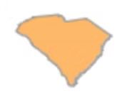 South Carolina outline, orange-yellow fill, shaded gray edges.