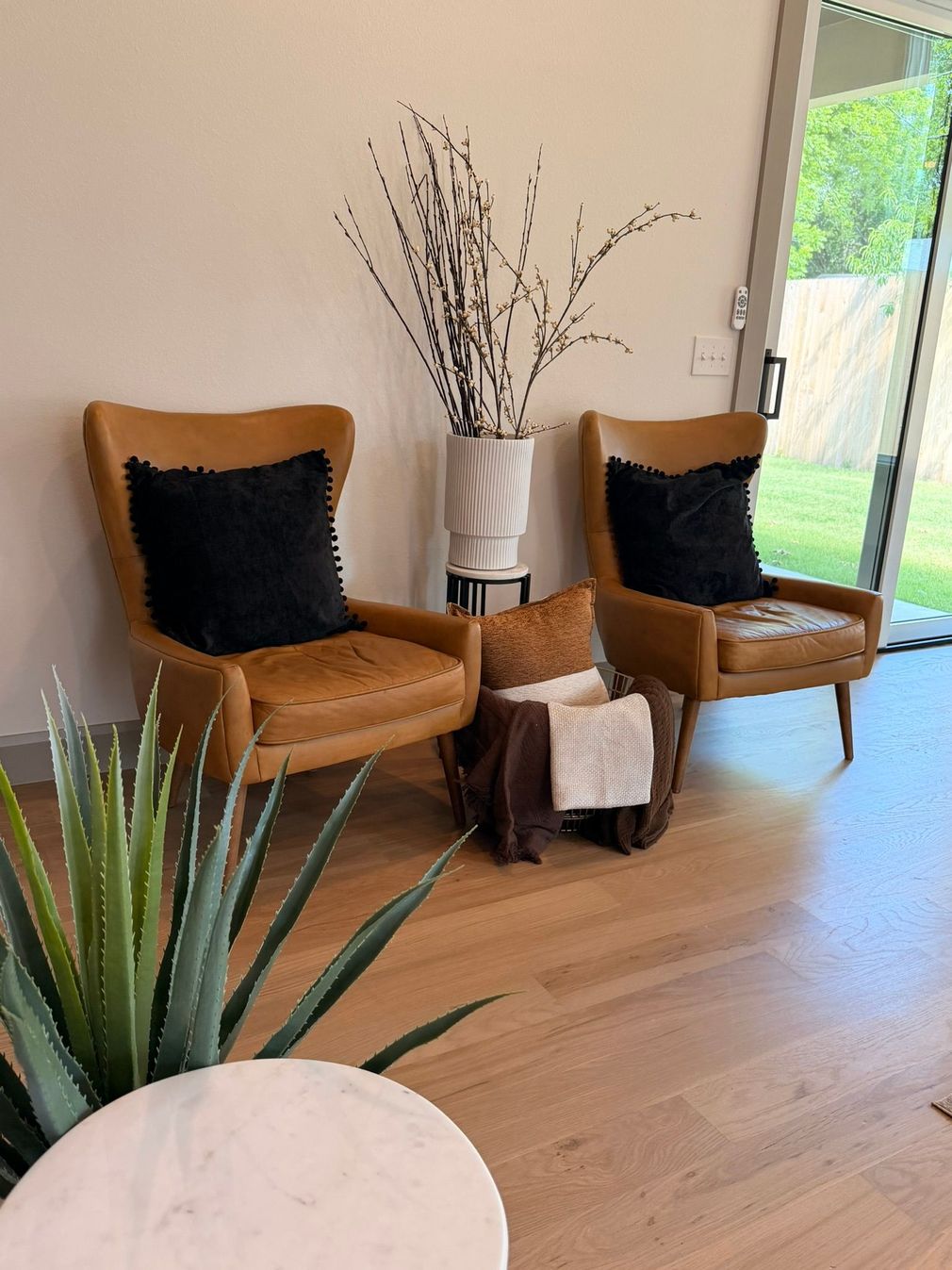 Modern living room with two tan chairs, black pillows, a white vase, and a snake plant by the window.