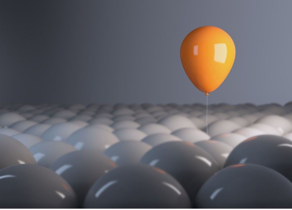 BYellow balloon floating above seal