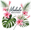 Mahalo Hair Studio