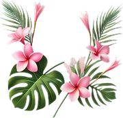 Mahalo Hair Studio Mahalo Hair Studio