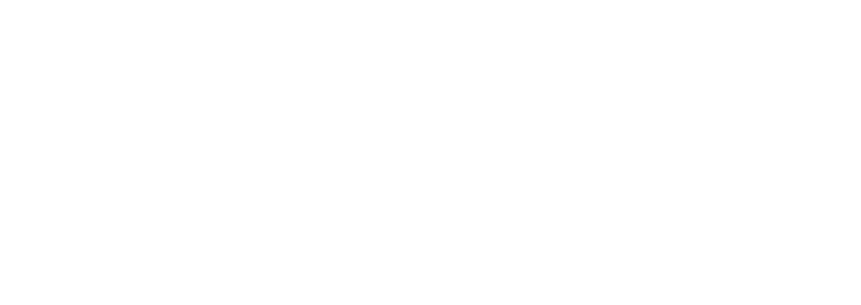 Un logo bianco raffigurante una stella a quattro punte accanto alla scritta