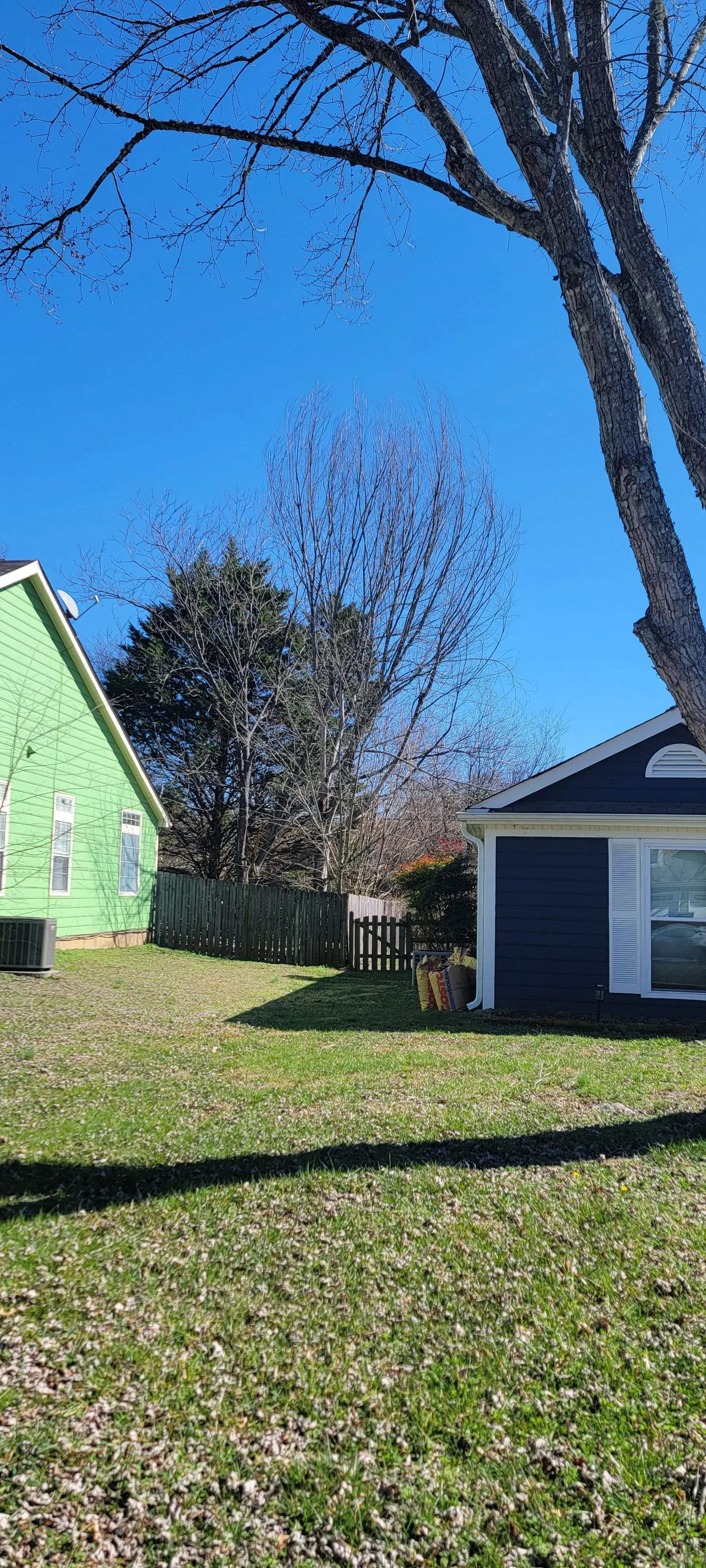 Backyard view with green grass, houses, trees, and a clear blue sky.