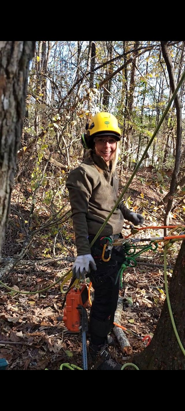 Person in a yellow helmet standing near a tree, surrounded by trees and leaves. They wear gloves and safety gear.