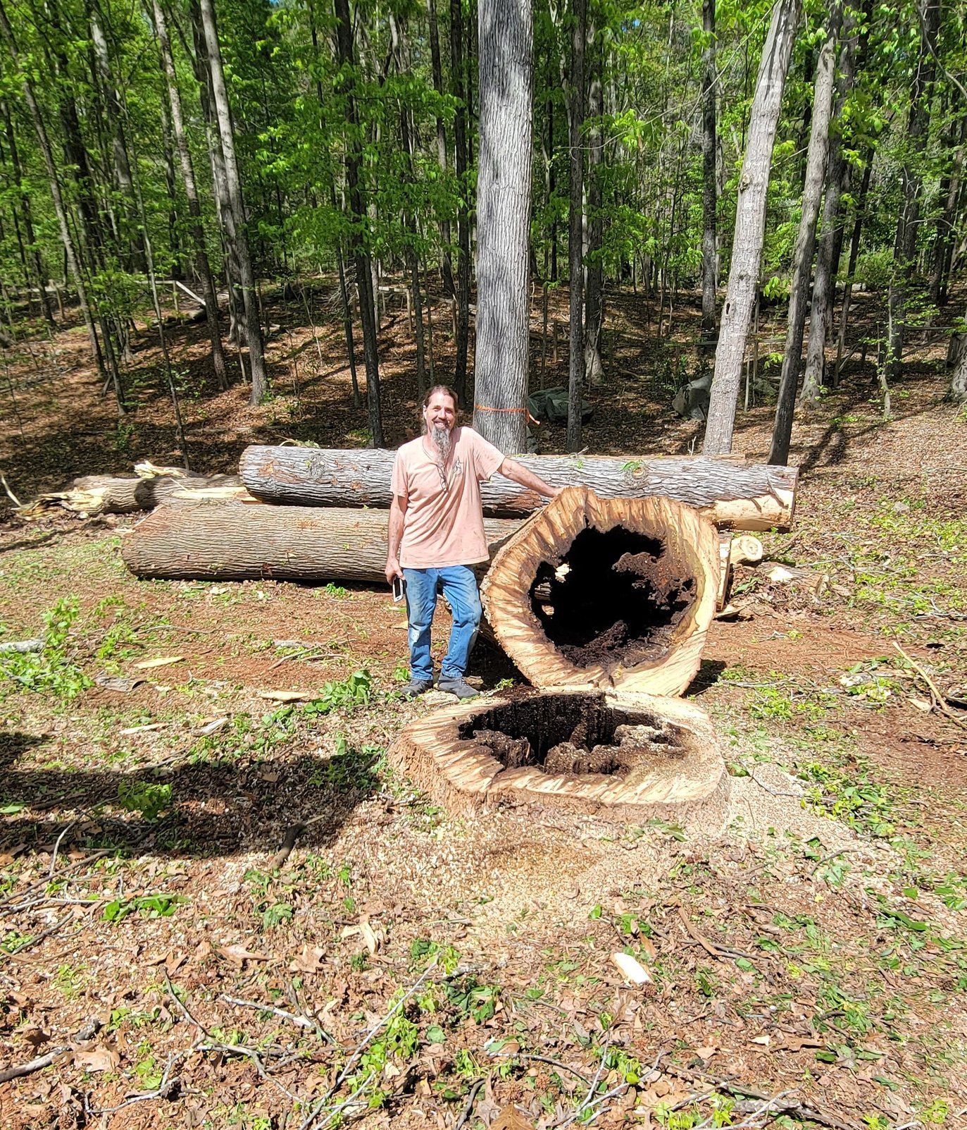Certified Arborist in Charlotte NC