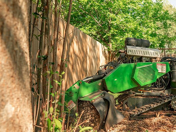 Stump Grinding
