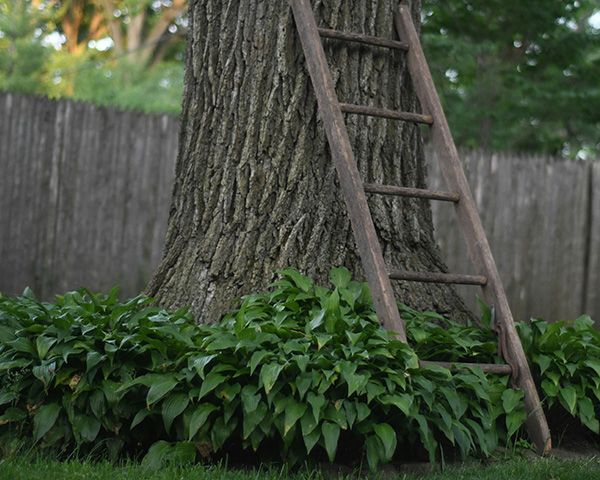 retrieval Tree Services