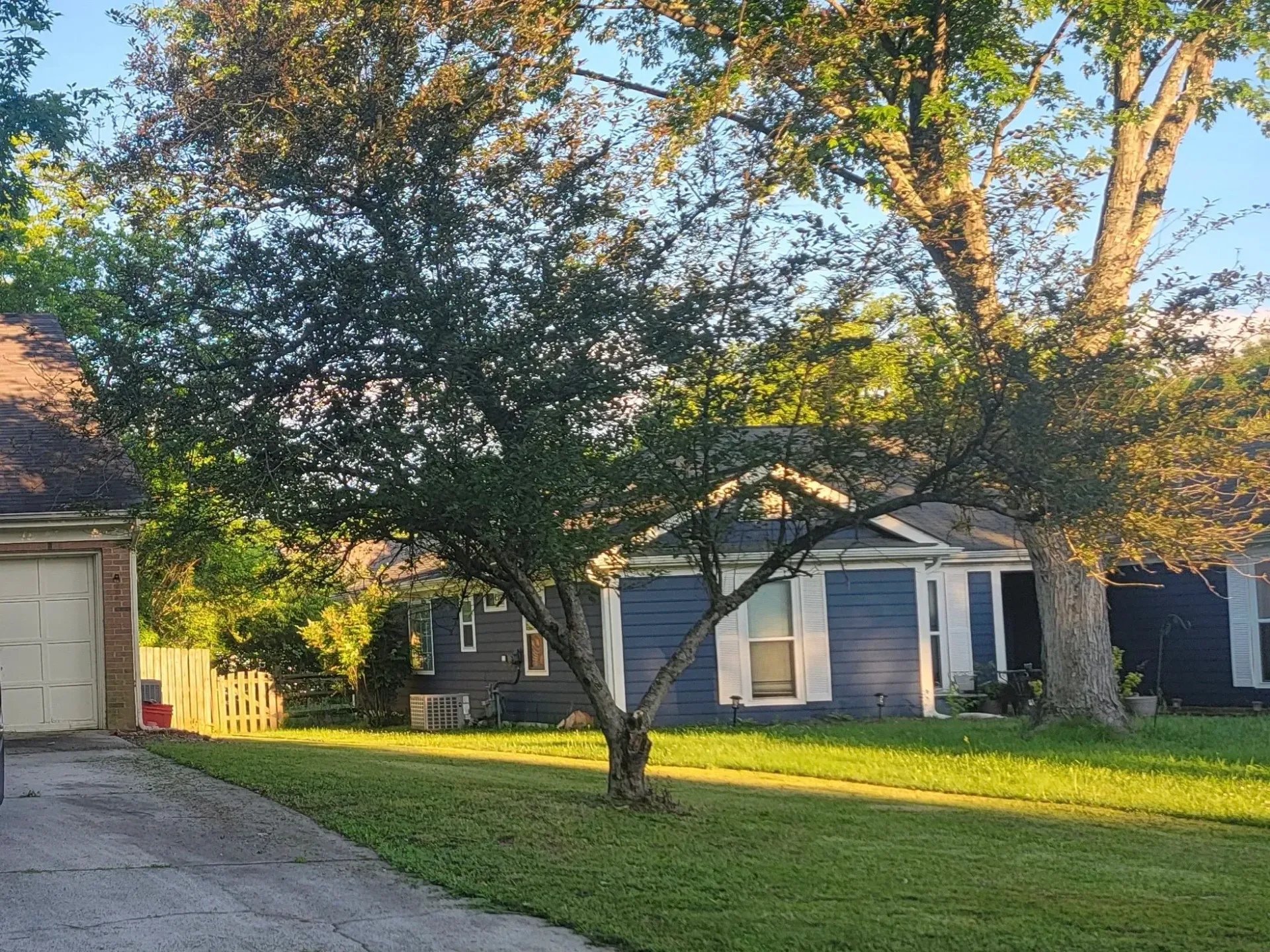 Blue house with white trim, a large tree, and a garage on a sunny day.