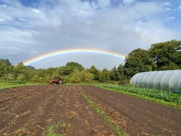 PCT Group of Companies | Pandy Farm Welsh farmland