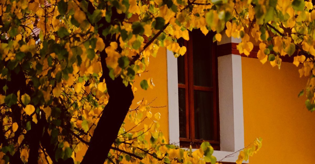Maison et jardin en automne