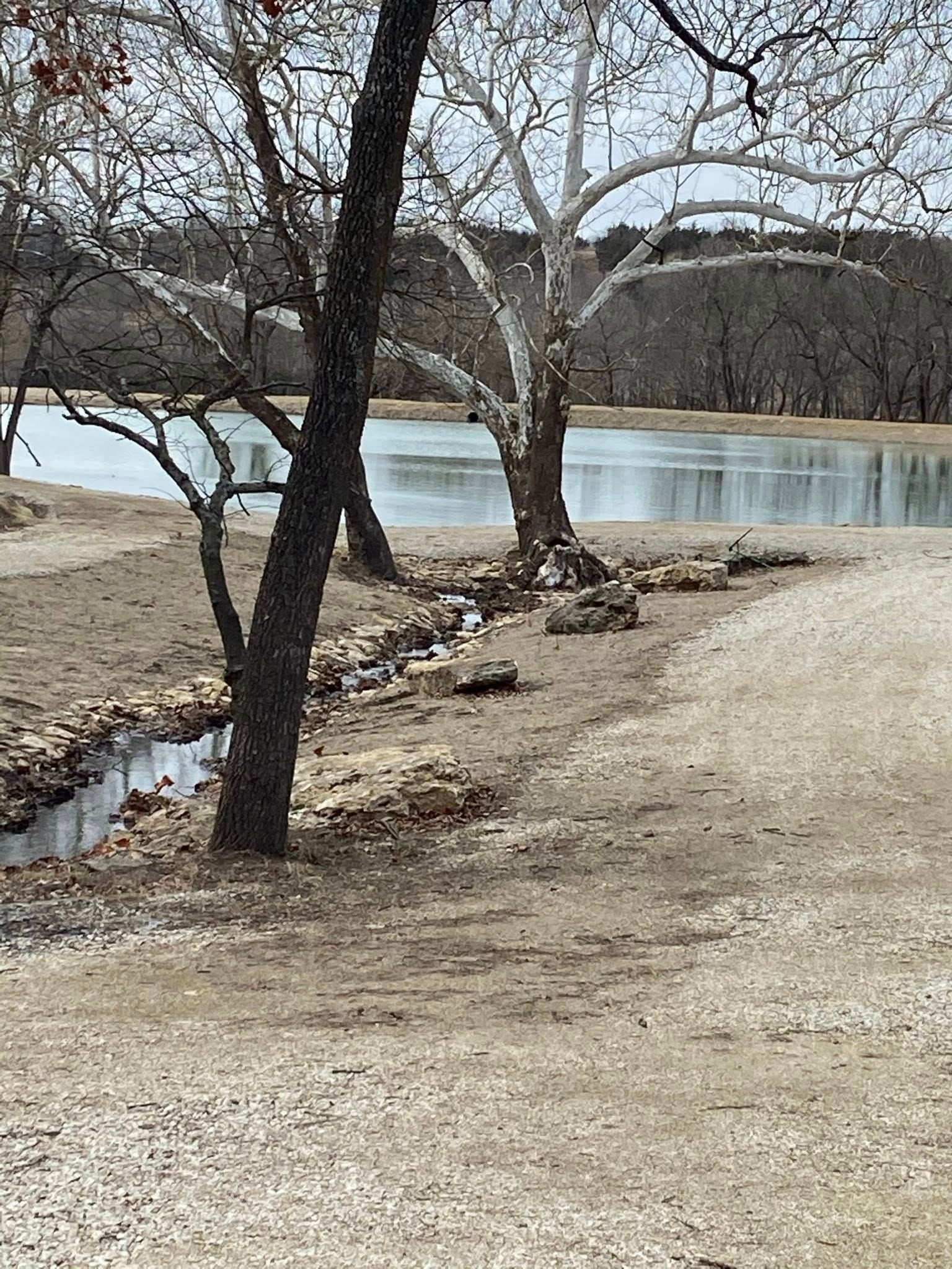 Leafless trees beside a calm river along a gravel path on a cloudy day