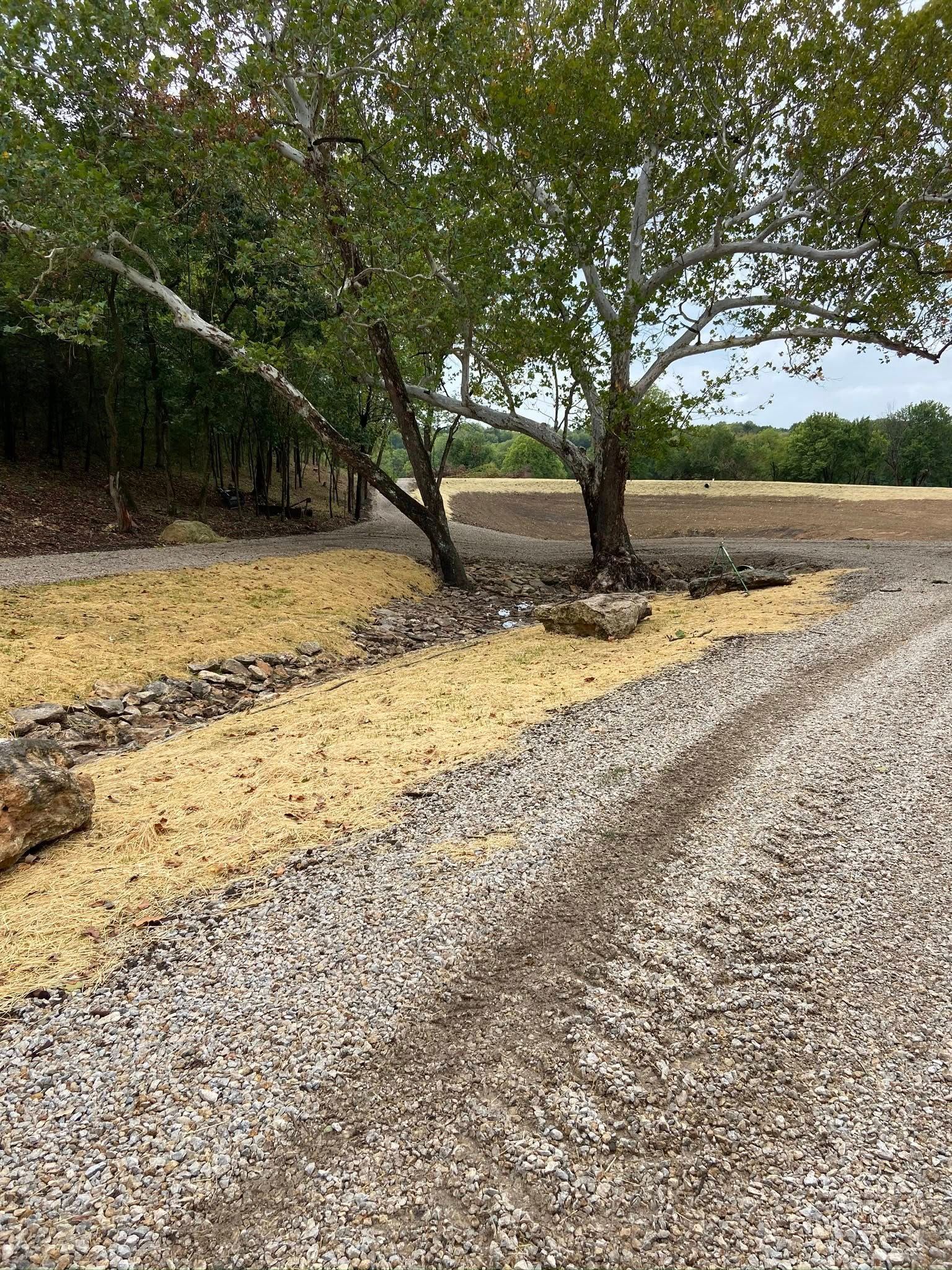 Gravel driveway with two trees and a line of yellowish material along the edge, leading into a rural field