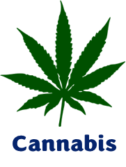 Cannabis plant
