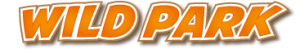 ICONA LOGO