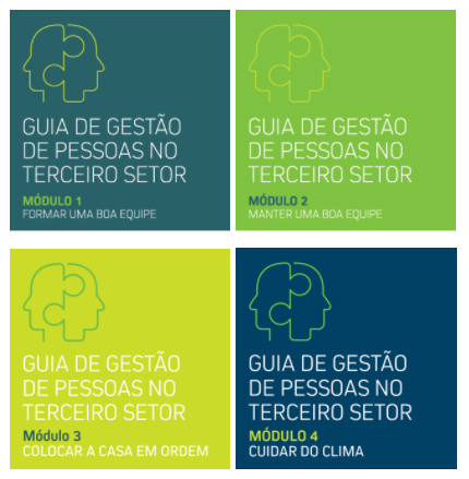 guia de gestão terceiro setor