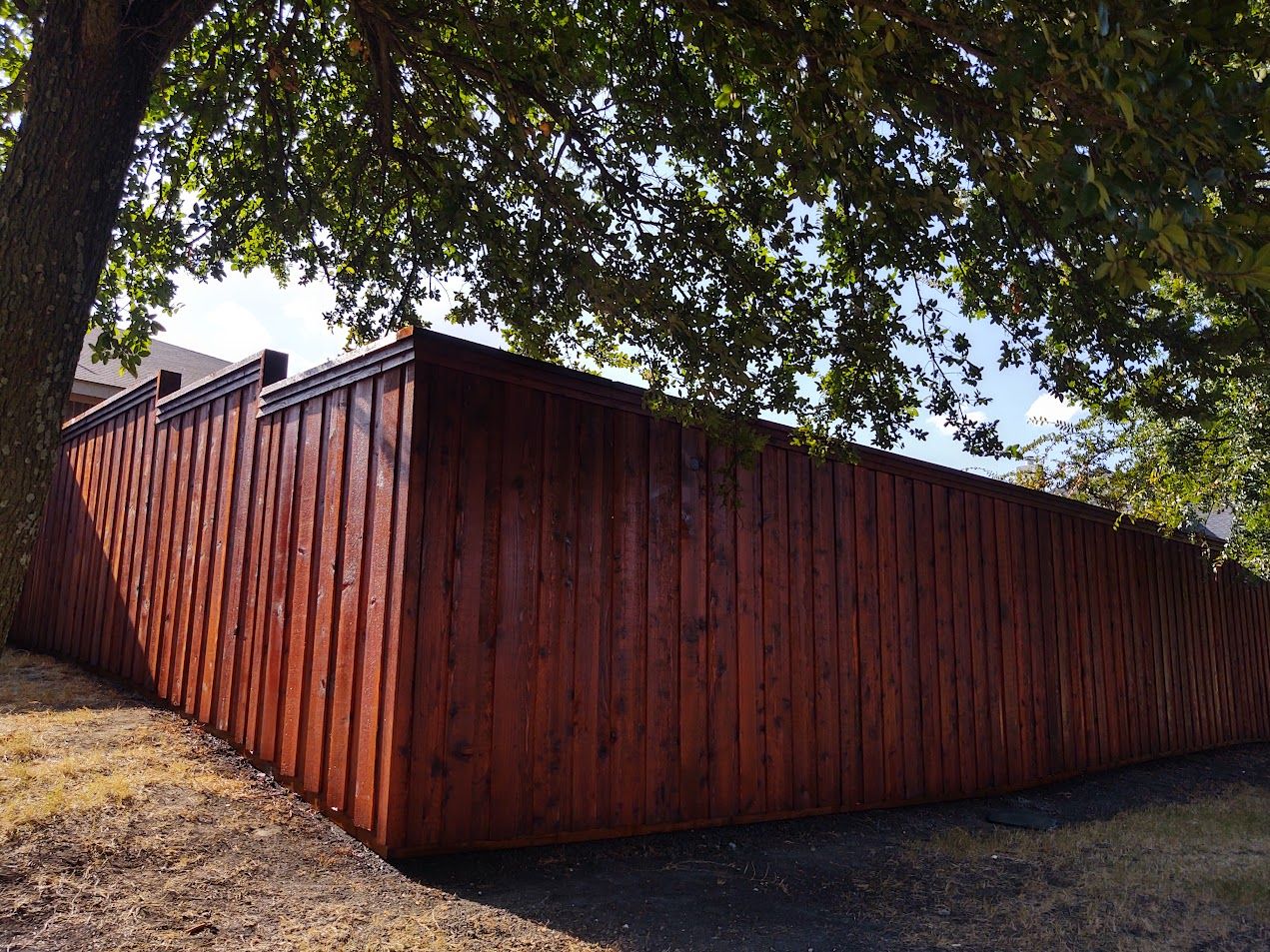 Tall red wooden fence under a leafy tree in bright sunlight