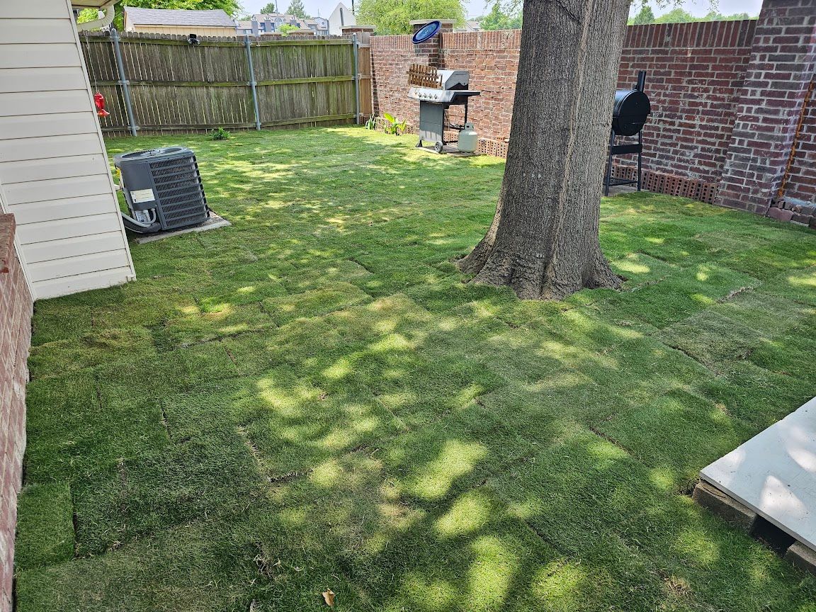 Backyard with grass, large tree, wooden fence, brick wall, and patio furniture in sunlight