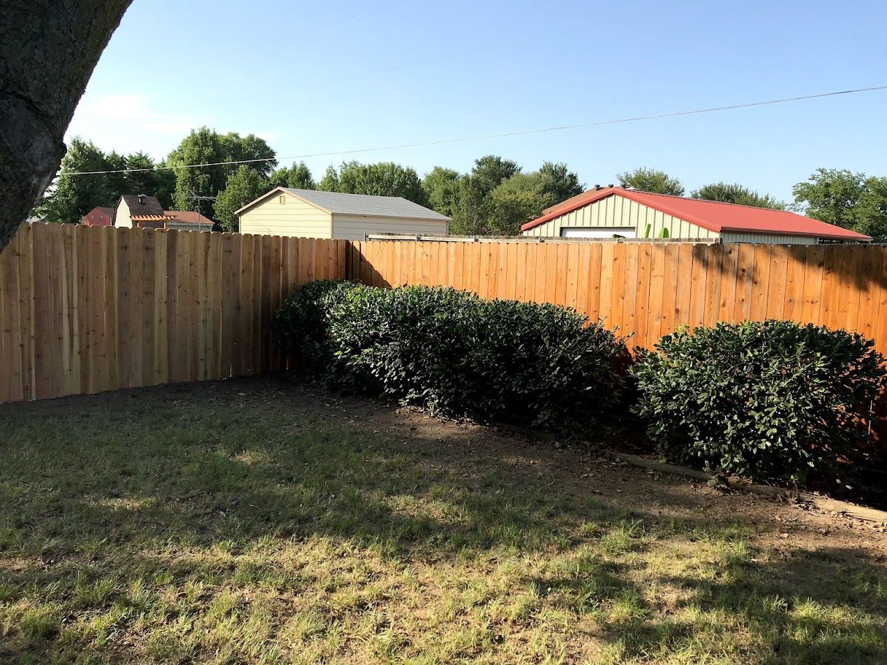 Backyard with wooden fence, trimmed bushes, and dry grass under a sunny sky