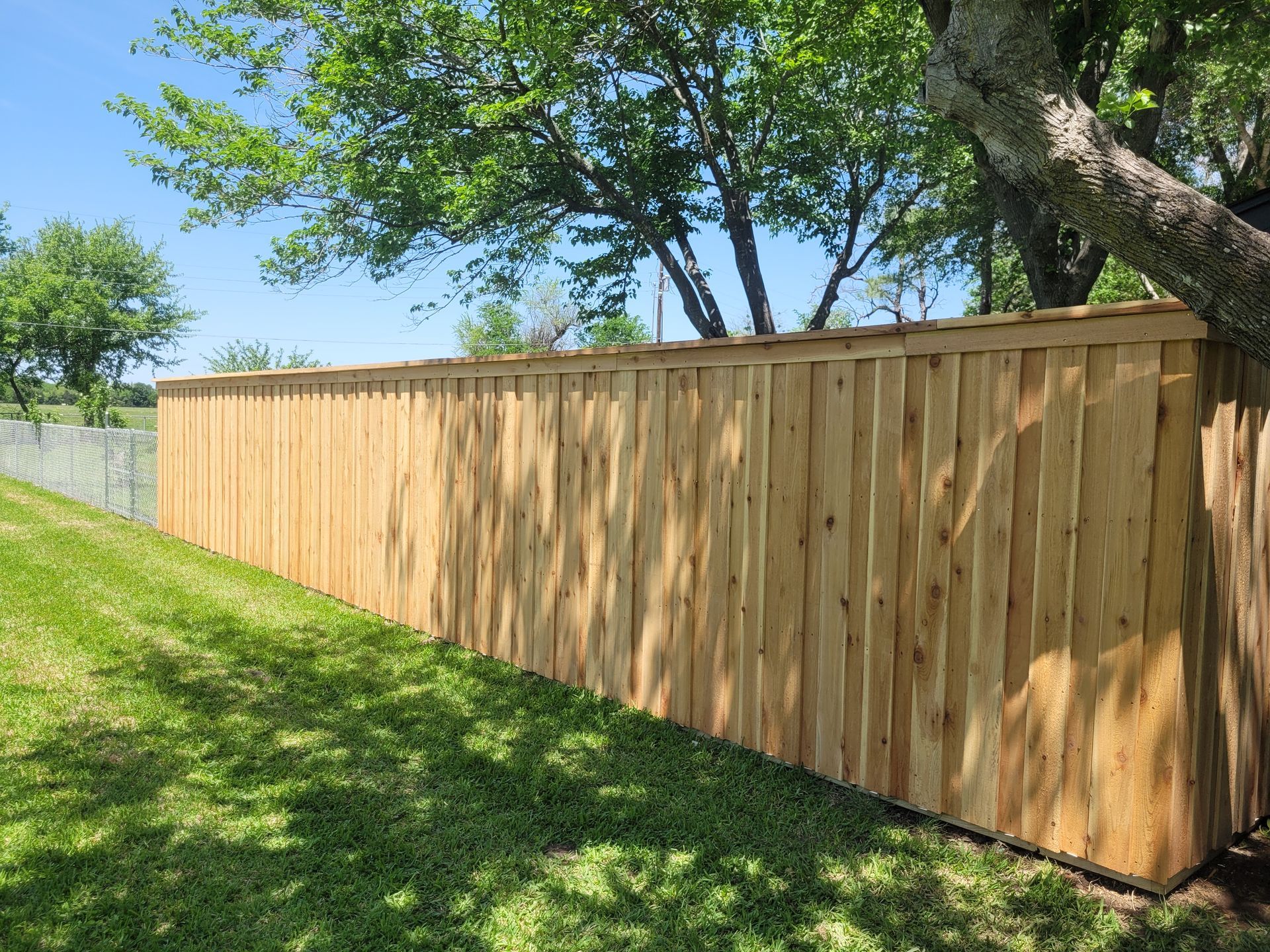 Wooden privacy fence along a grassy slope with trees overhead on a sunny day