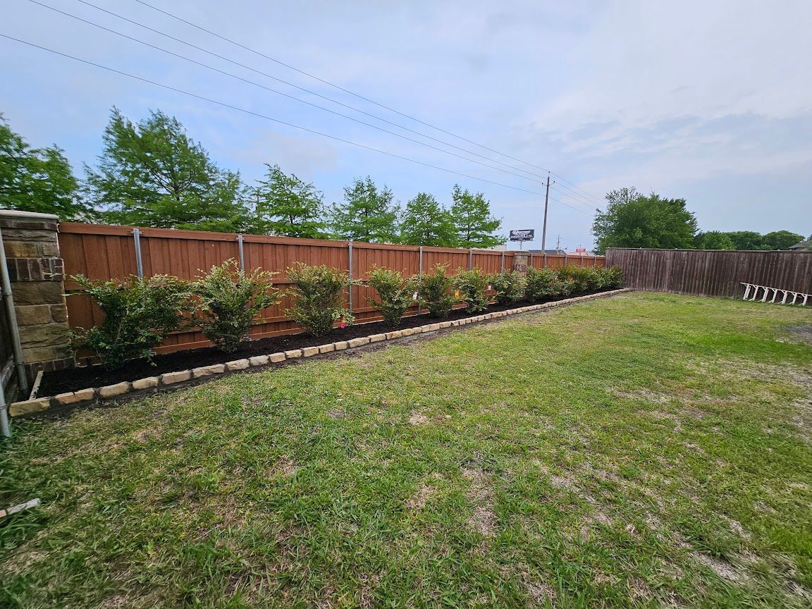 Backyard lawn beside a wooden fence, with a row of shrubs and a cloudy sky