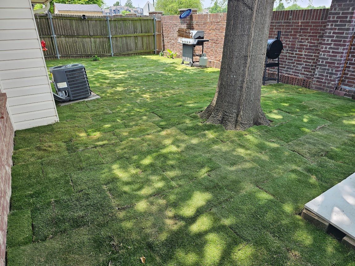 Backyard lawn with a large tree, wooden fence, brick wall, and patio furniture in bright sun