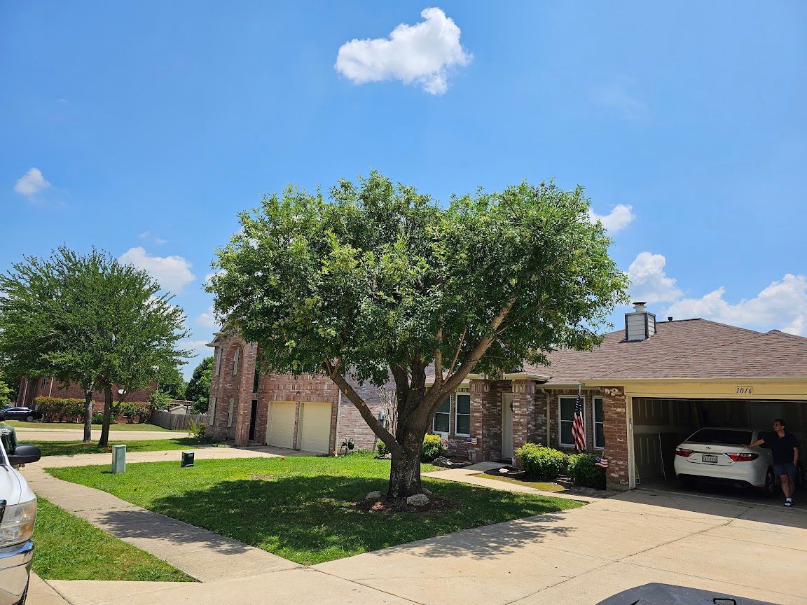 Suburban house with a large tree in the front yard and an open garage on a sunny day