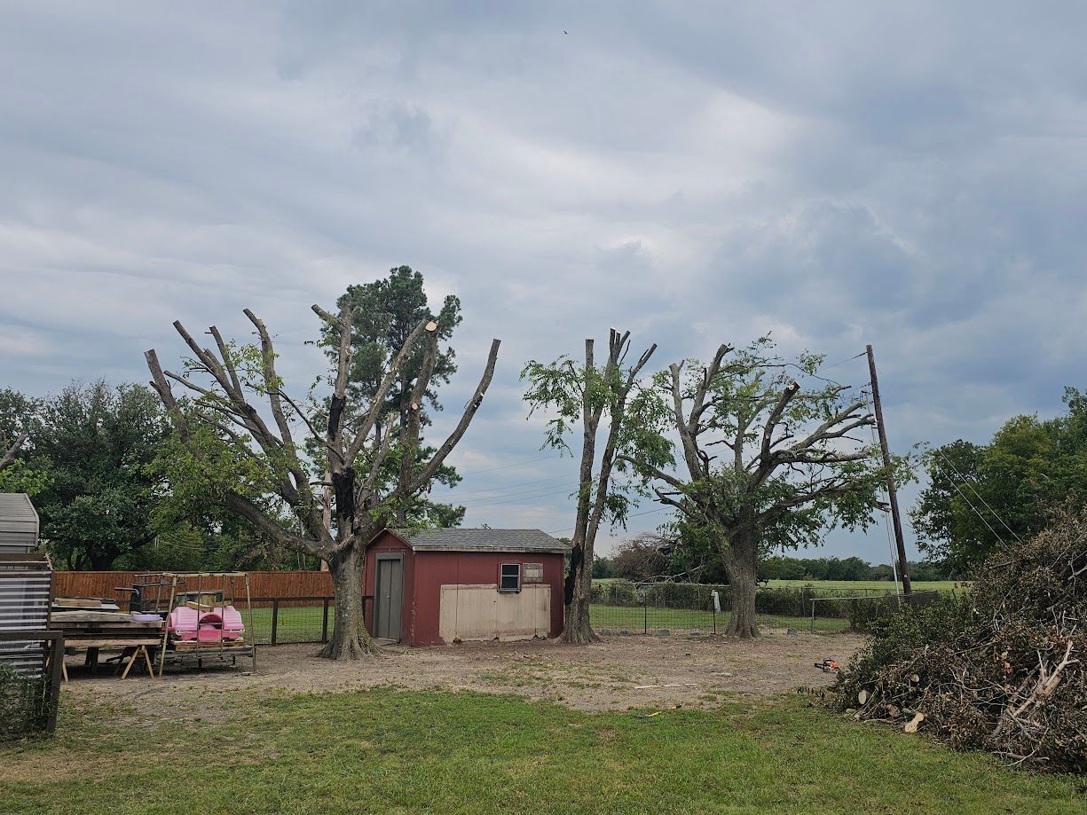 Small red shed in a rural yard with trees, gravel ground, and cloudy sky.