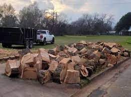 Dumped firewood logs piled along a roadside beside a white pickup and black trailer.