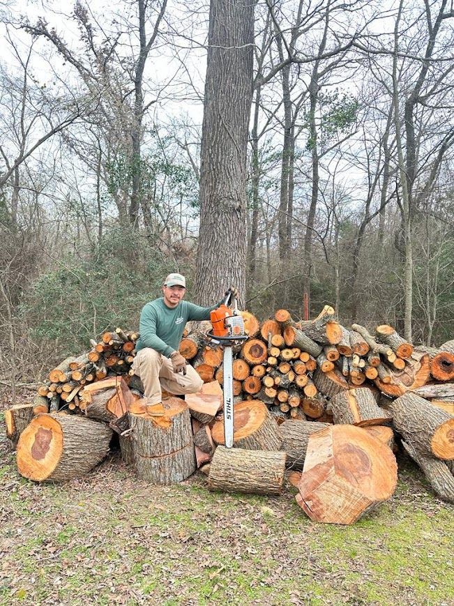 Person standing by a large woodpile in a wooded area, holding a chainsaw with cut logs stacked behind them