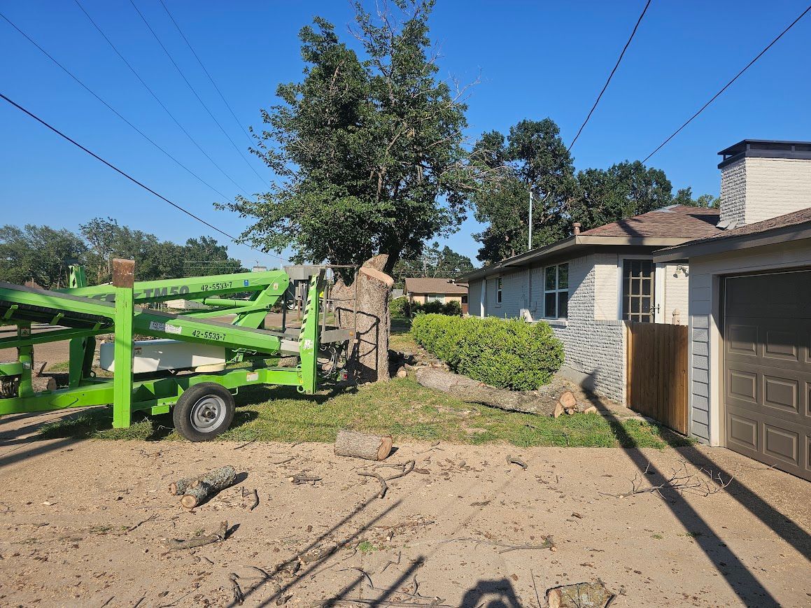 Green utility trailer parked in a dirt driveway beside a house and tree under a blue sky