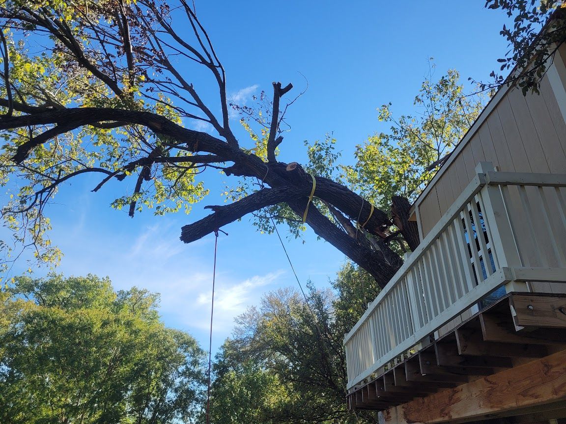 Broken tree branch hanging over a house deck against a blue sky