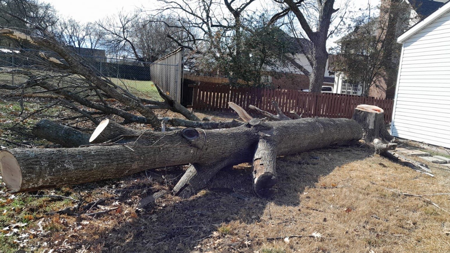 Downed tree trunk and branches scattered across a yard beside a white house and fence.