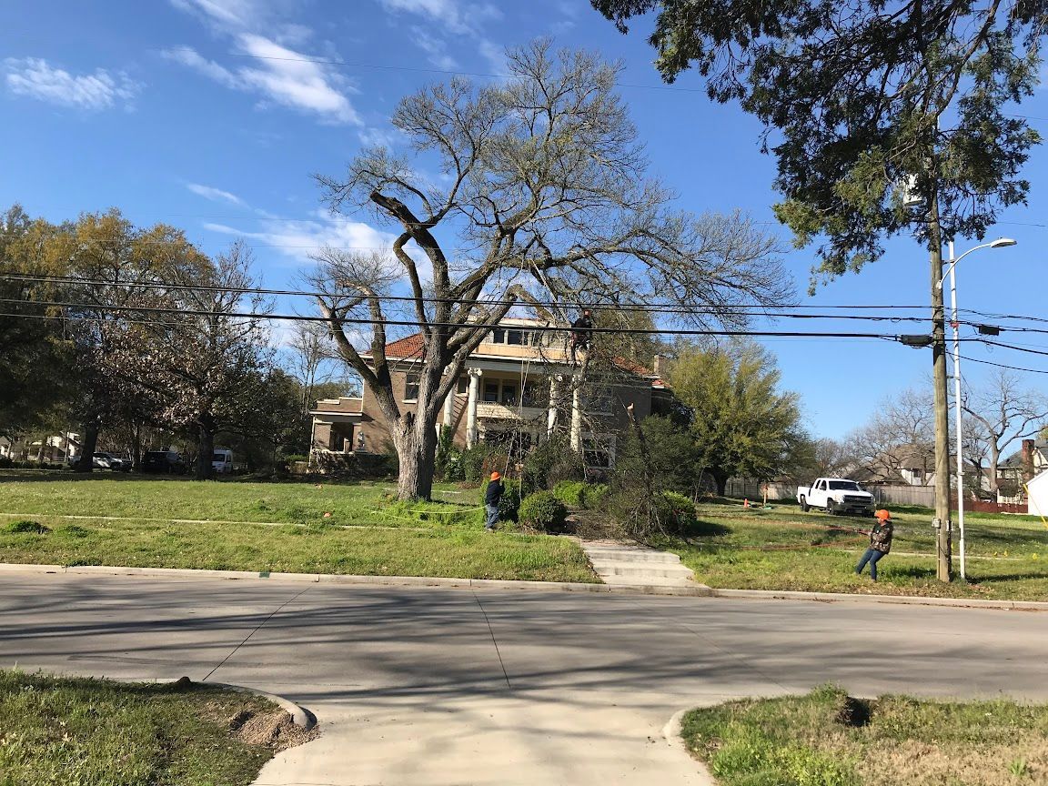 Residential house on a grassy hill by a road, with trees, blue sky, and two people near the sidewalk.