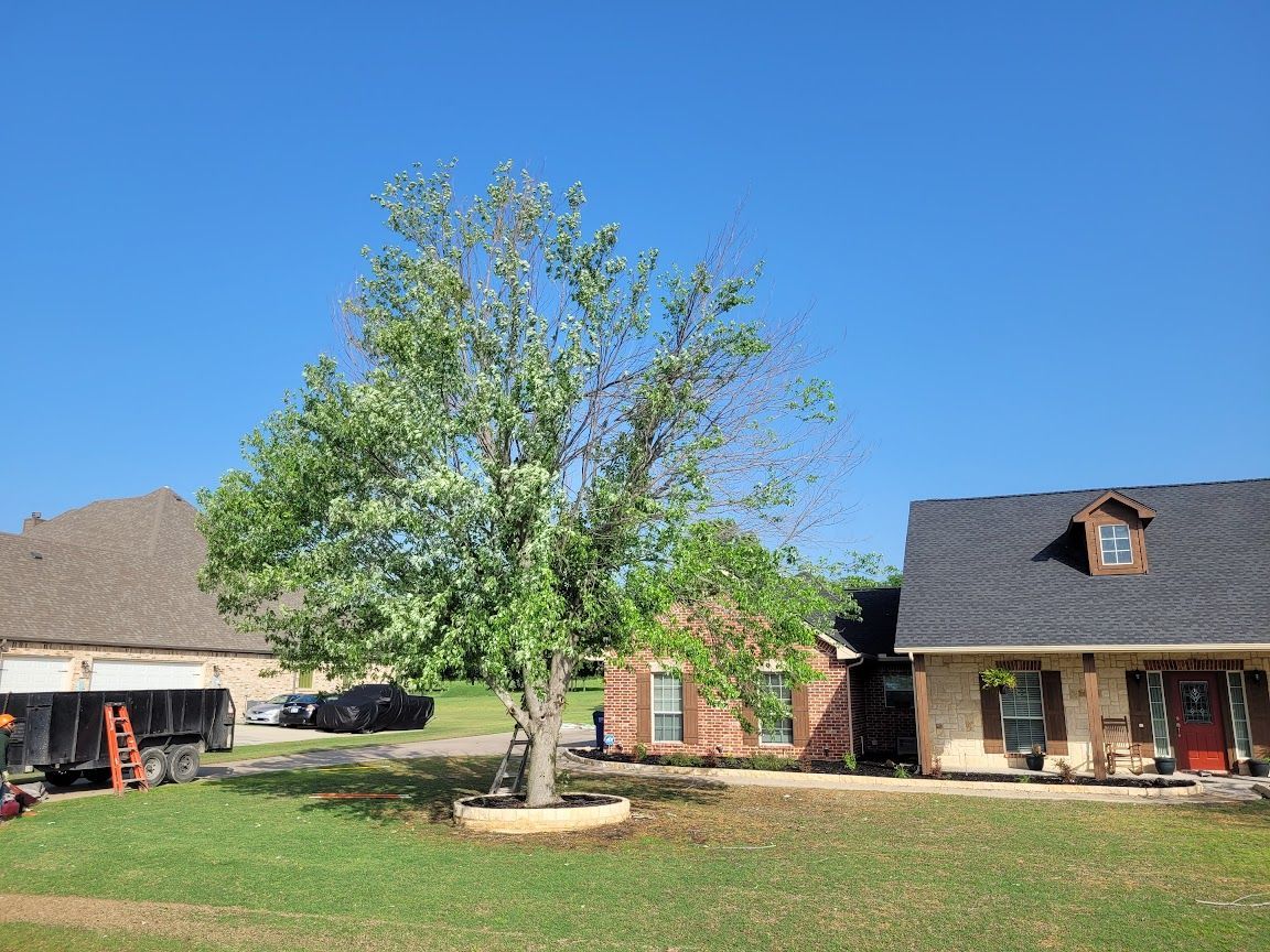 Suburban house with large tree in front yard under a clear blue sky