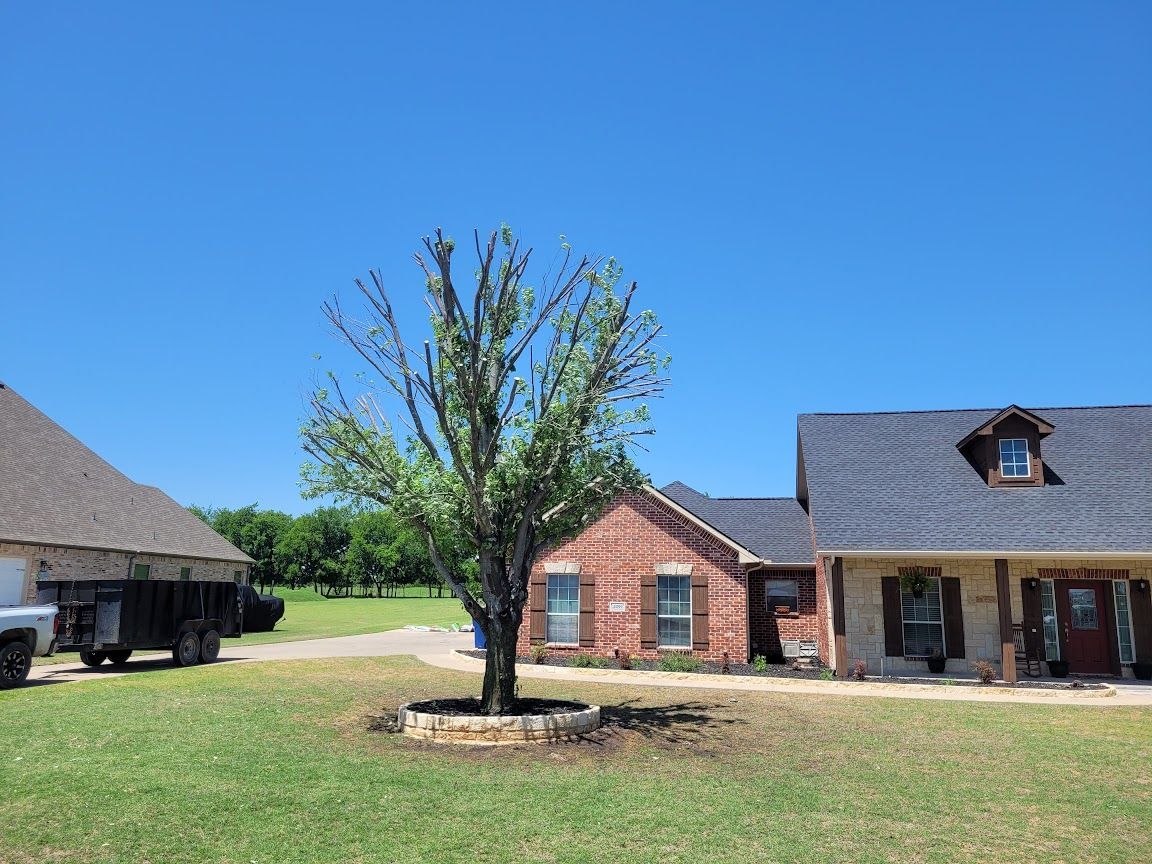 Rural yard with a young tree between two brick houses under a clear blue sky