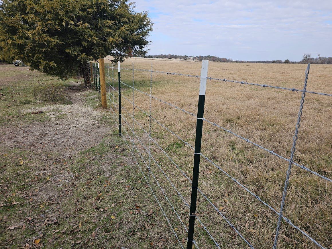 Fence posts and wire fencing along a dry grassy field with a tree on the left.