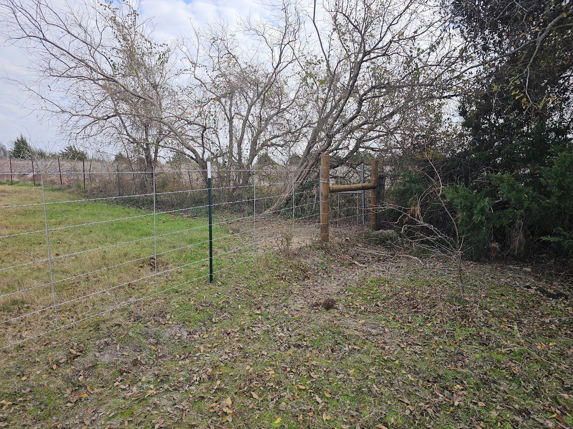 Overgrown grassy field with leafless trees and a wire fence under an overcast sky