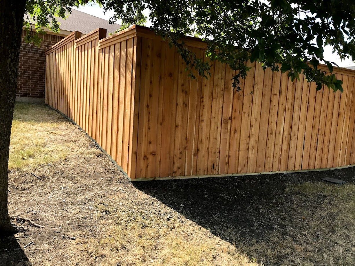Wooden privacy fence surrounding a yard, with sunlight and trees overhead.
