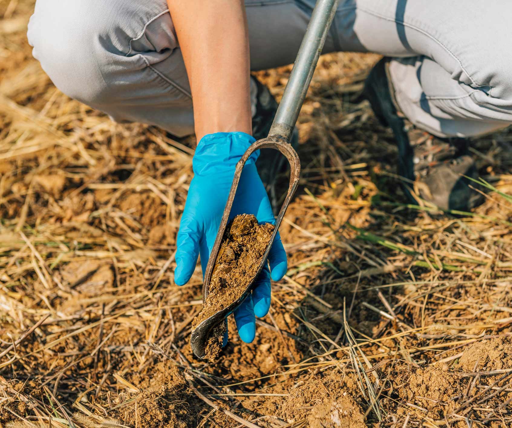 Soil sampling | Sydney, NSW | Soilsrock Engineering Pty Ltd