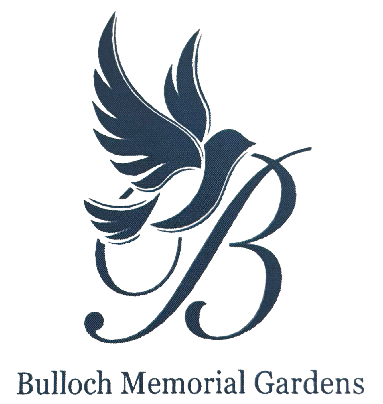 logo-image