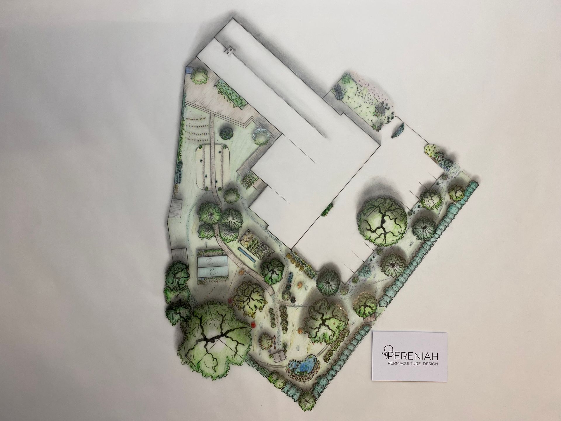 Permaculture Design 7 Pereniah