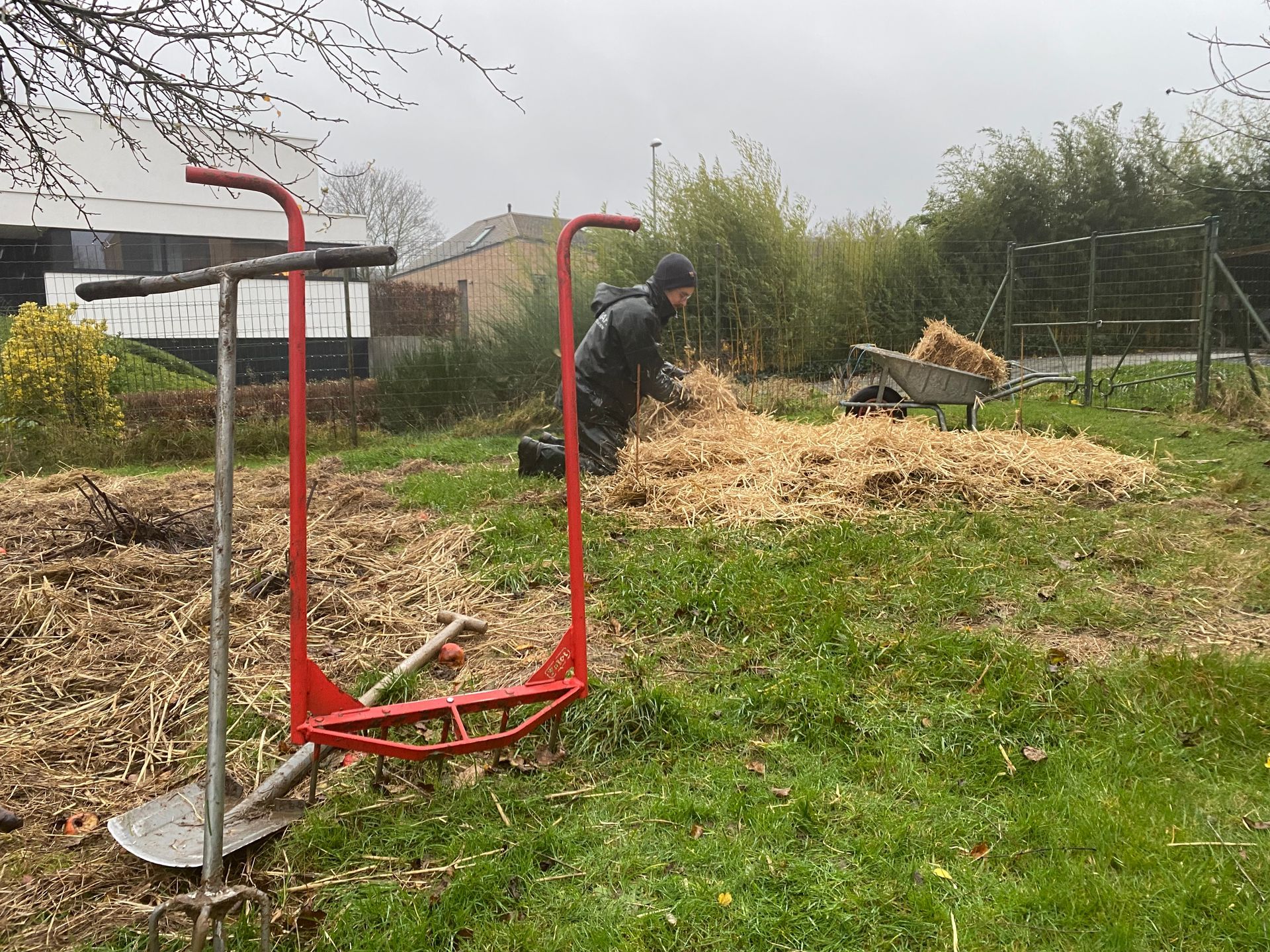 Bodemverbetering vaste planten