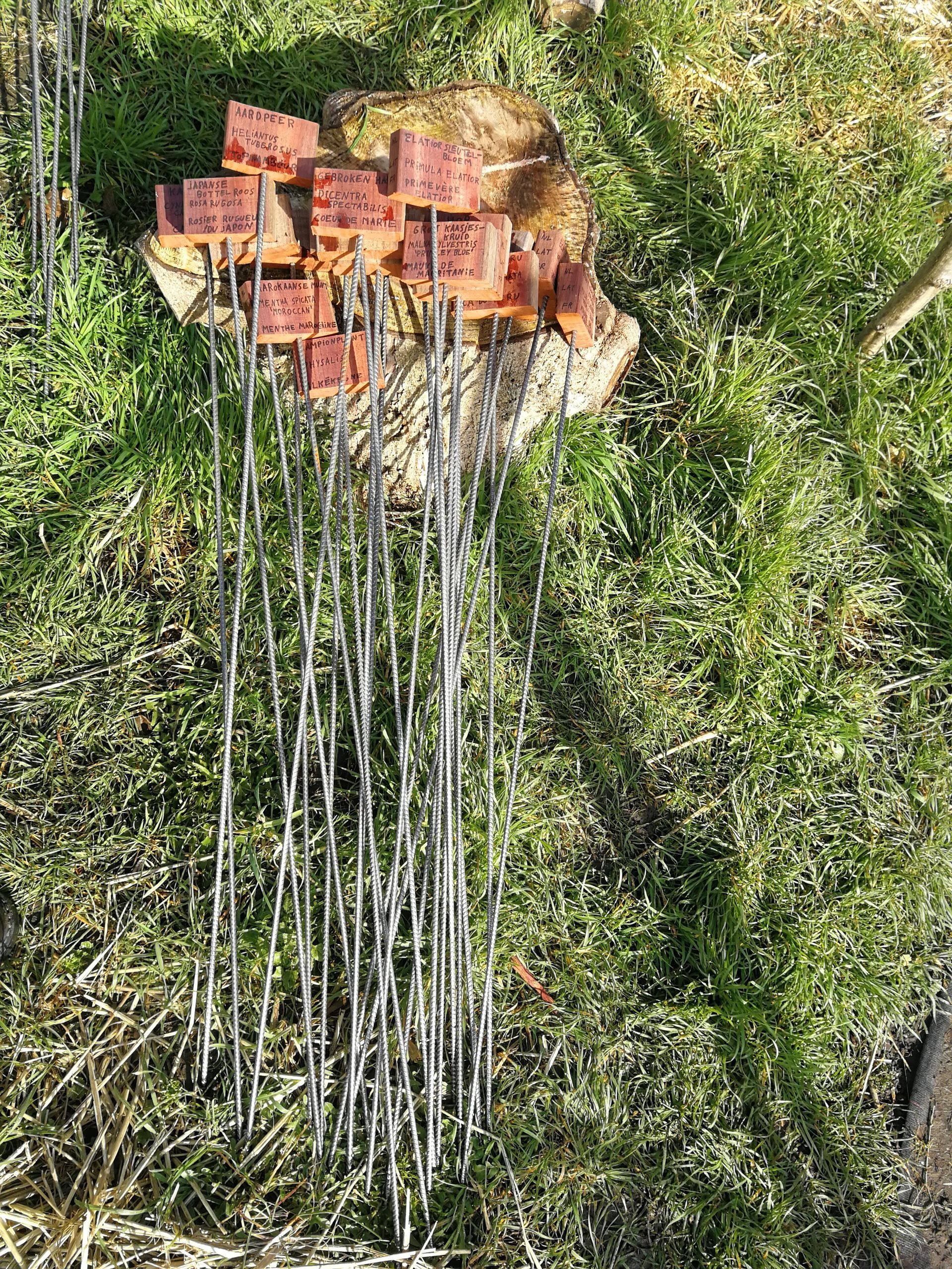 Naambordjes voor planten Pereniah