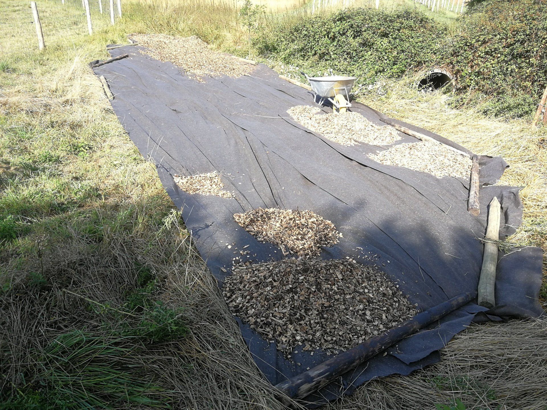 plantation a pereniah